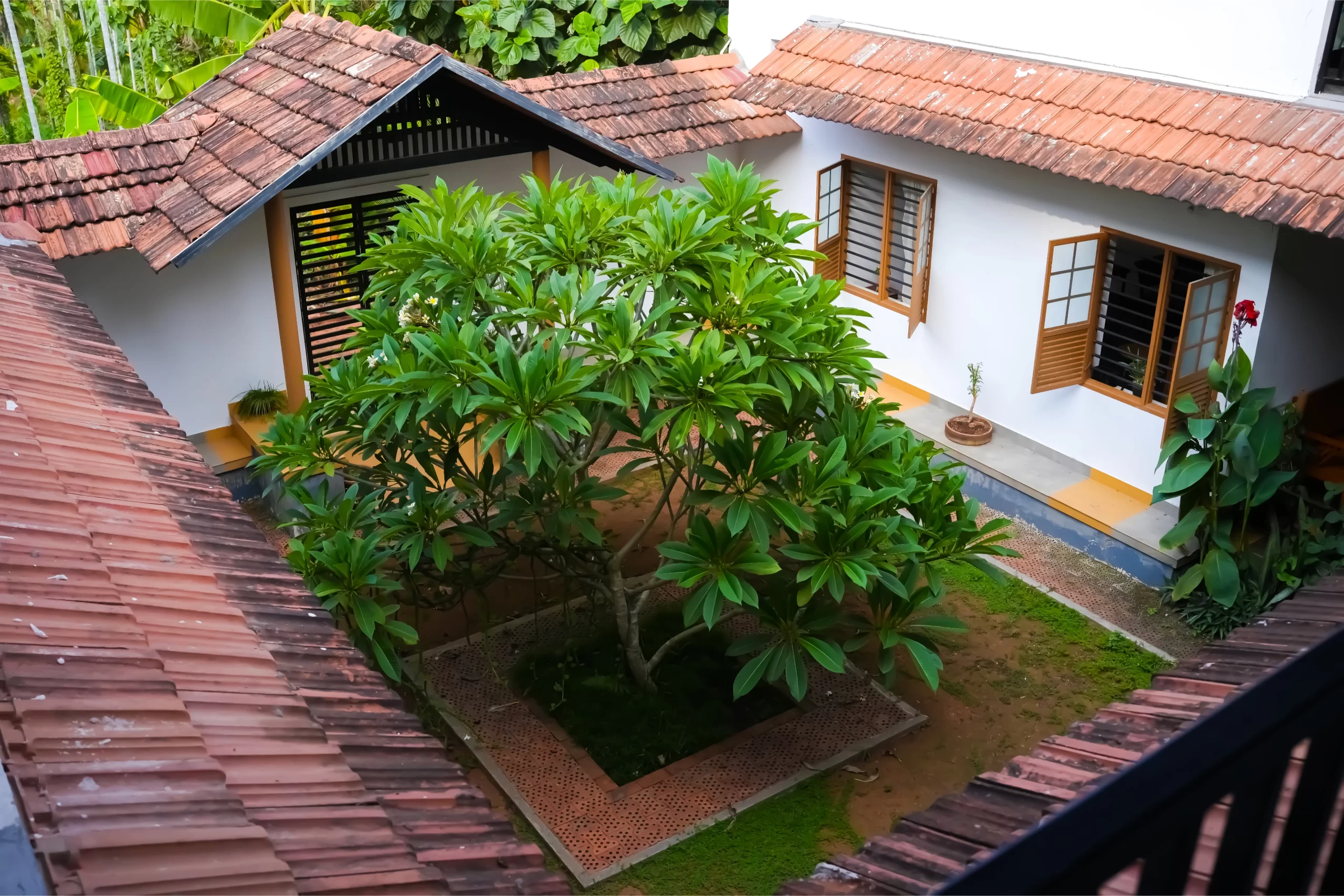 Samatha Ayurveda: The Best Ayurveda Treatment Home in Kerala